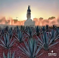 City Express Plus by Marriott Guadalajara Providencia