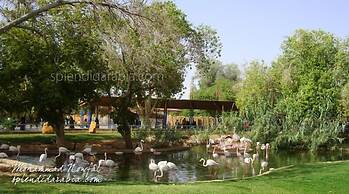 Hayat Alriyadh Hotel