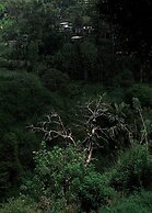 Ella Retreat Hotel