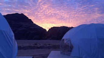 Oryx camp