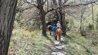 Pangeo Forest Village