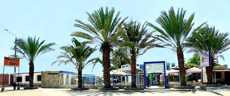 Bungalows Spilberg