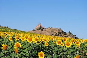 Castillo De La Riba