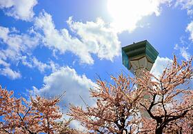 Tokyu Stay Hakodate Asaichi Akarinoyu
