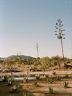 Mineral del Cielo