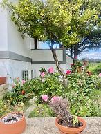 Casa das Jardas