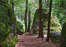 Friedlicher Waldurlaub in Altenfeld