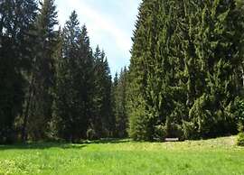 Friedlicher Waldurlaub in Altenfeld