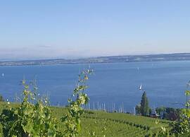 Spacious Apartment near Lake Constance with Covered Balcony