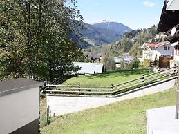 Apartment in the ski Area