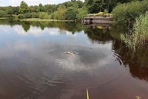 Villa in Ommen With Private Pond