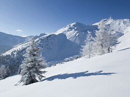 Apartment Near Zillertal ski Area