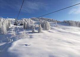 Sunlit Apartment near Ski Area in Mittersill