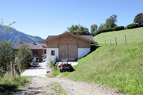 Flat in Mittersill Near Ski Lift