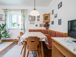 Apartment Kitzbuhel Near Ski Slopes