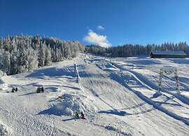 Cozy Holiday Home in Egg near Ski Area