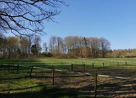 Family Villa in Ferrieres