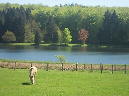 Luxury Pet Friendly Chalet in Bièvre near Forest