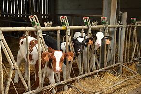 Farm Stay With Sauna, Teuven