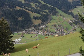 Chalet in Lenk Near Simmen Falls