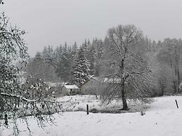 Forest-edge Stay, Burtonville