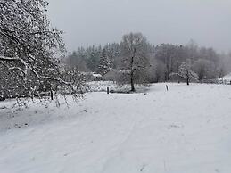 Forest-edge Stay, Burtonville