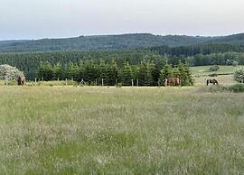 Ardennes View Apartment- Petit Wilogne