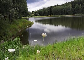 Spacious Apartment near Lake in Guntersberge