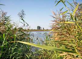 Spacious Holiday Home in Sommerfeld near Lake