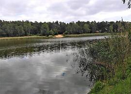 Spacious Holiday Home in Sommerfeld near Lake