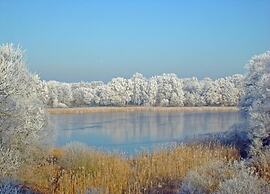Spacious Holiday Home in Sommerfeld near Lake