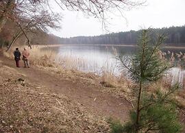Spacious Holiday Home in Sommerfeld near Lake
