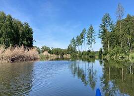 Spacious Holiday Home in Sommerfeld near Lake