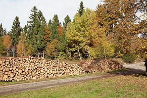 Ferienwohnung im Schwarzwald mit Garten