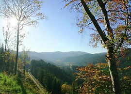 Ferienwohnung im Schwarzwald mit Garten