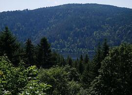 Ferienwohnung im Schwarzwald mit Garten