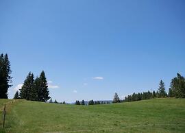 Ferienwohnung im Schwarzwald mit Garten