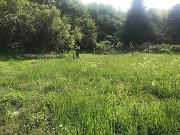 Holiday Home in Kerschenbach Near Trier