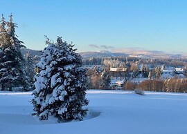 Forest-edge Braunlage Home