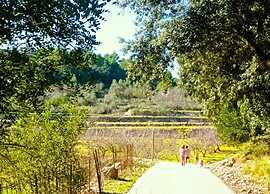Tranquil Villa Stay, Murla