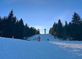 Alpine View Wellness Escape