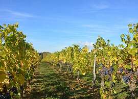 Retreat in Beaumont-en-veron