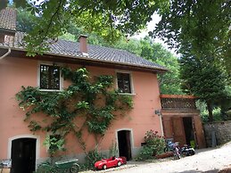 Forest Retreat in Vosges