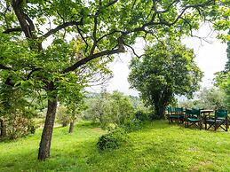 Italian Stay: Bacchereto Wine Country
