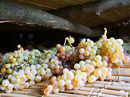 Italian Stay: Bacchereto Wine Country