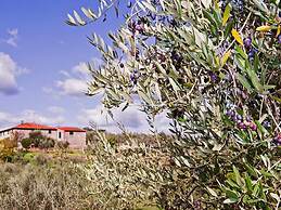 Tuscan Heaven; Vinci and Pistoia