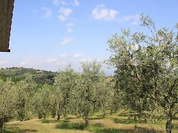 Tuscan Heaven; Vinci and Pistoia