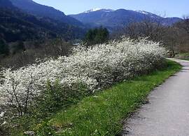 Flat by Lake Iseo With Mountain Views