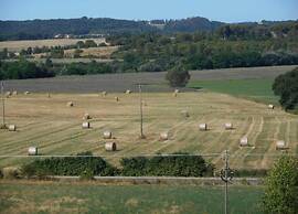 360 Degree View of the Tuscan