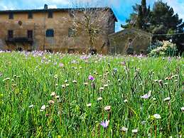 Tuscan Charm Near Volterra